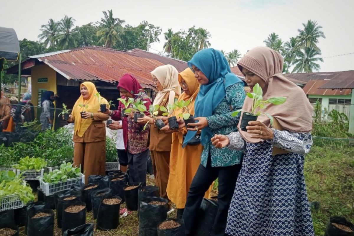 Padang Sidempuan minta warga gunakan pekarangan untuk tanam palawija
