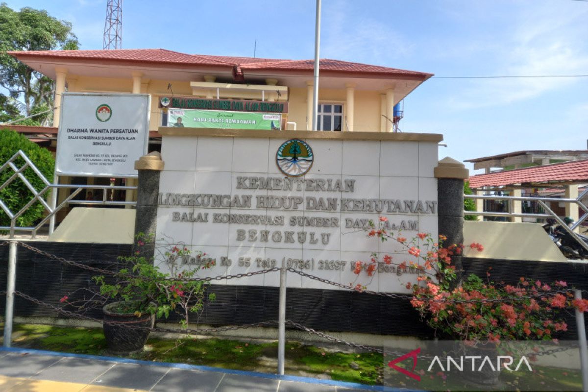 BKSDA imbau masyarakat tidak menanam kelapa sawit di Pulau Enggano Bengkulu