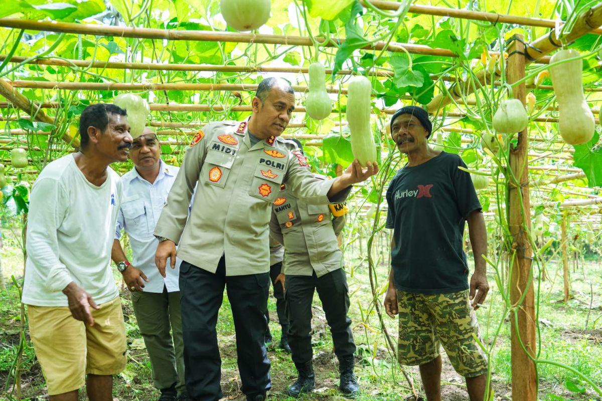 Kapolda tinjau perkebunan kelompok tani labu madu di Ternate