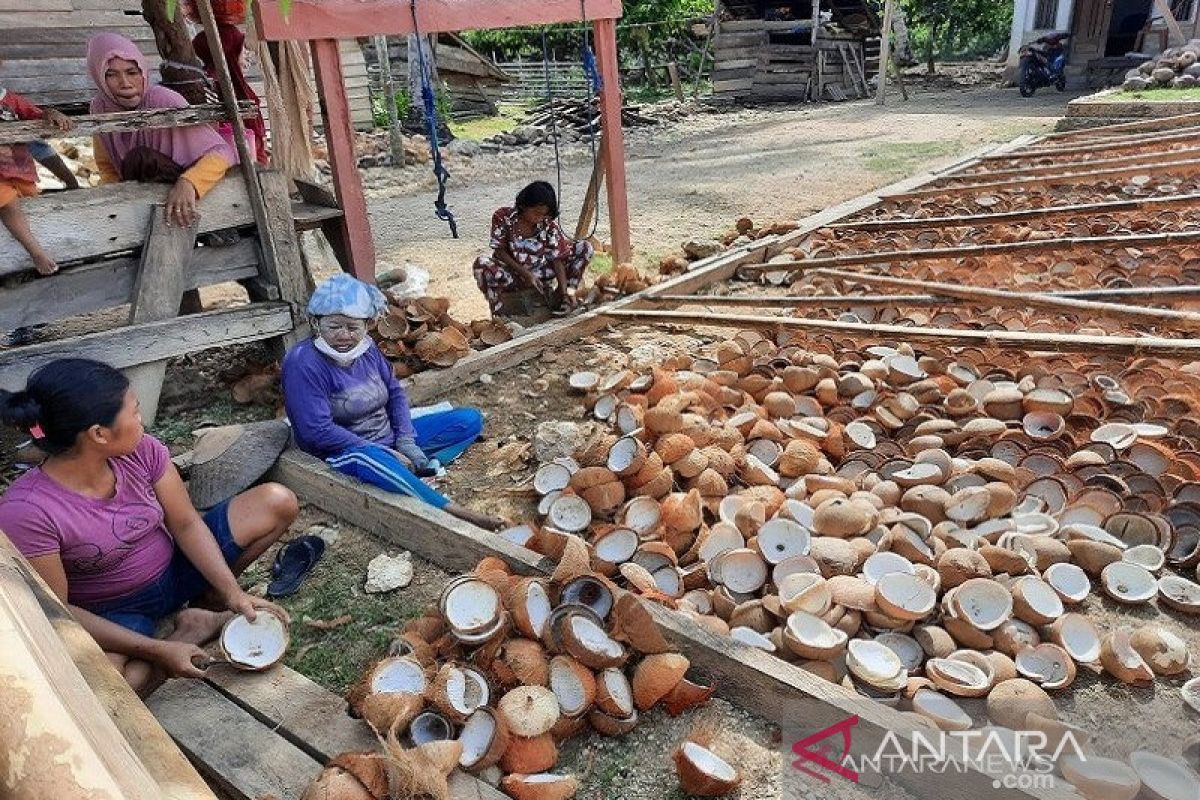 Disbun Sultra catat harga kopra di STA Kendari naik jadi Rp10.000/kg