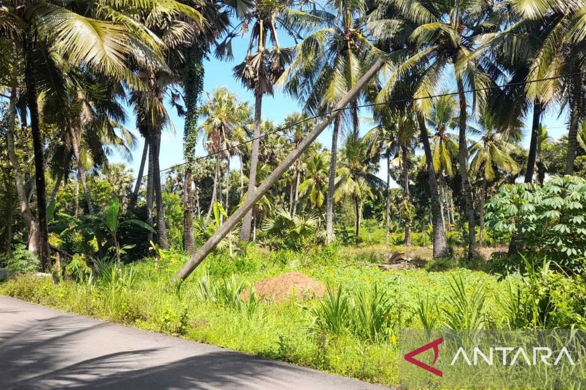 PLN Jatim: Jaringan listrik di Madura terganggu akibat pencurian kabel