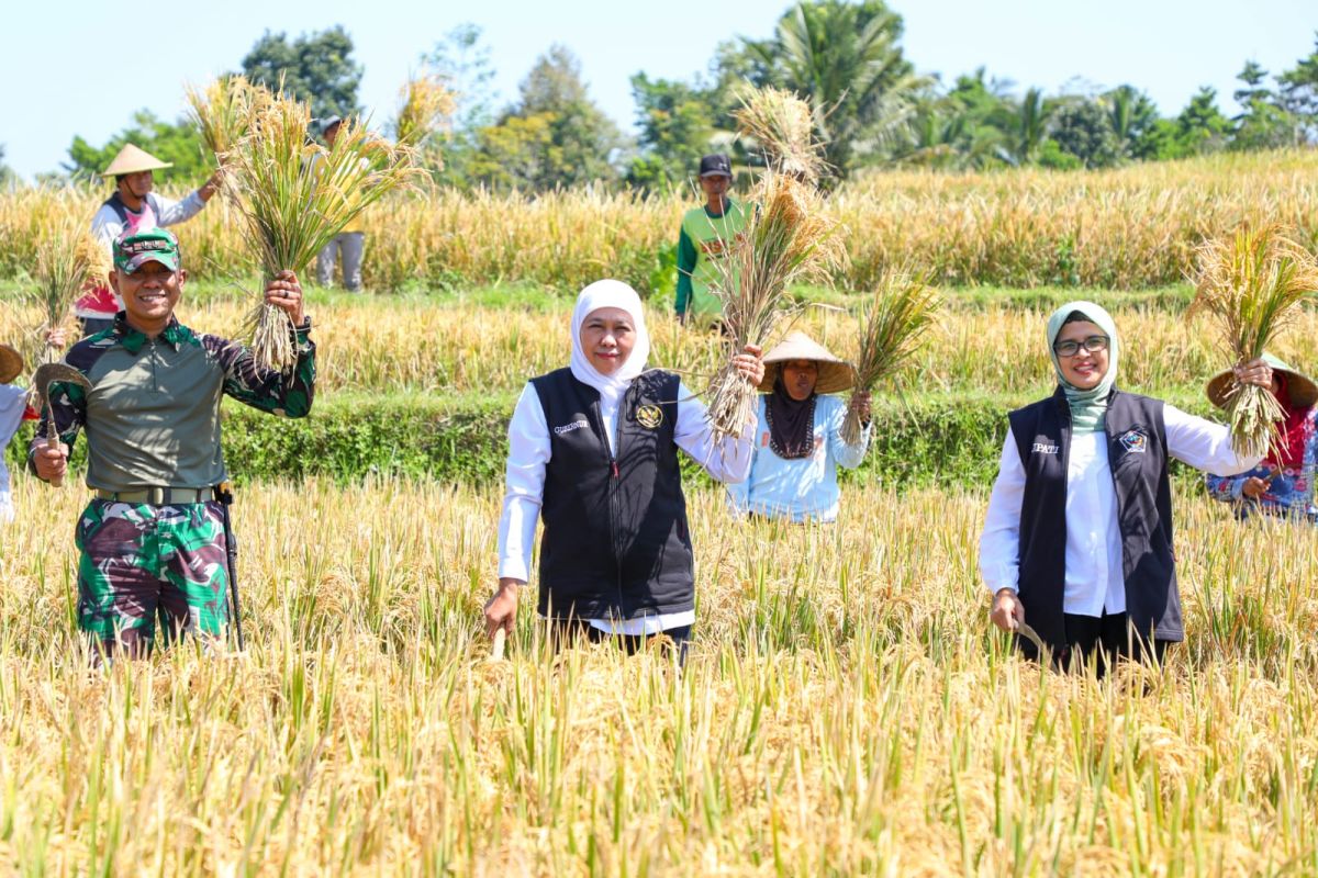 Gubernur Jatim apresiasi petani kembangkan cairan organik "Biosaka"