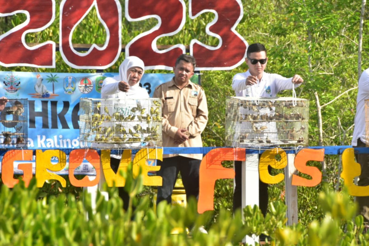 Pemprov gelar Festival Mangrove ke-4 di Trenggalek