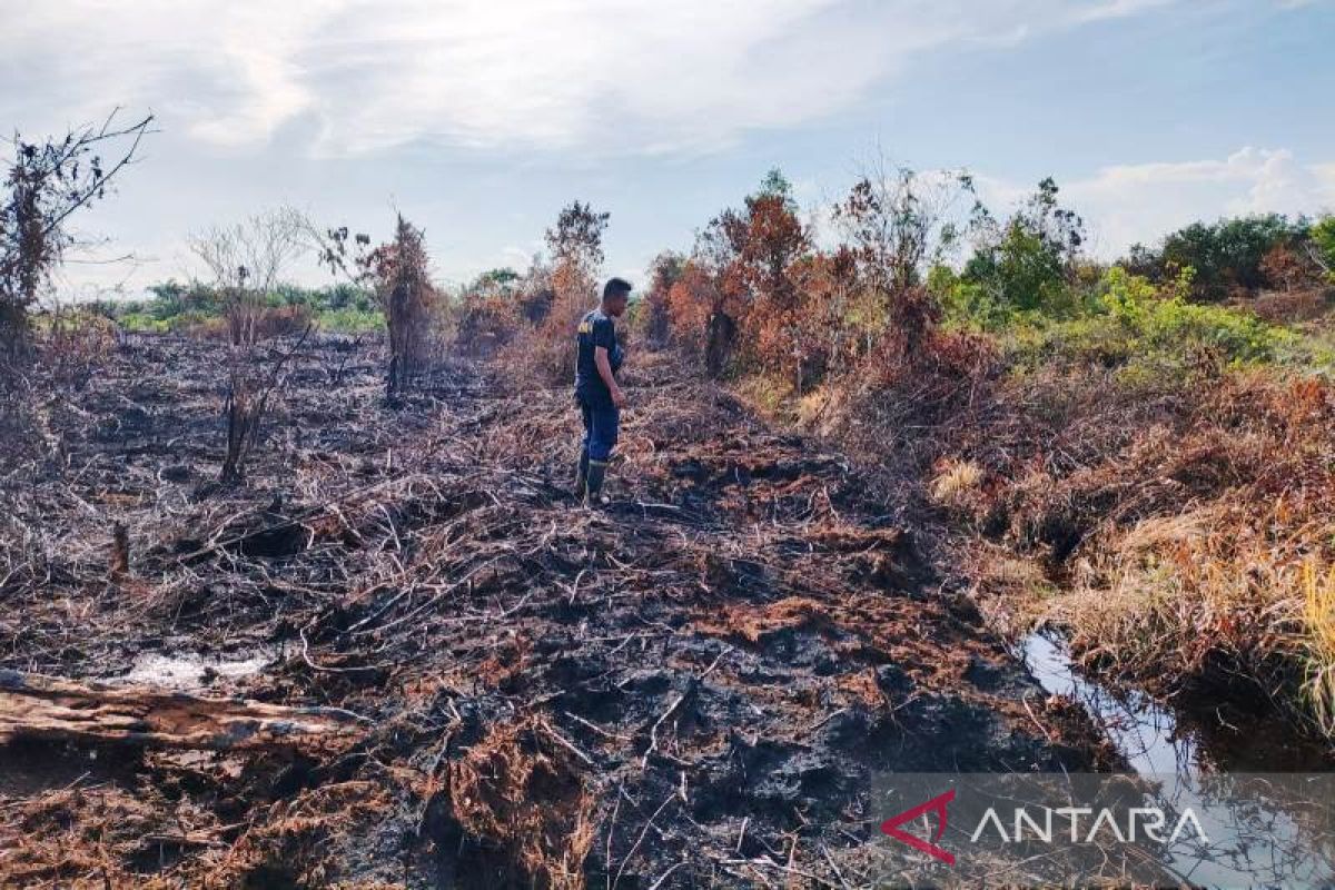 Kebakaran lahan seluas 1,5 hektare di Aceh Barat sudah padam