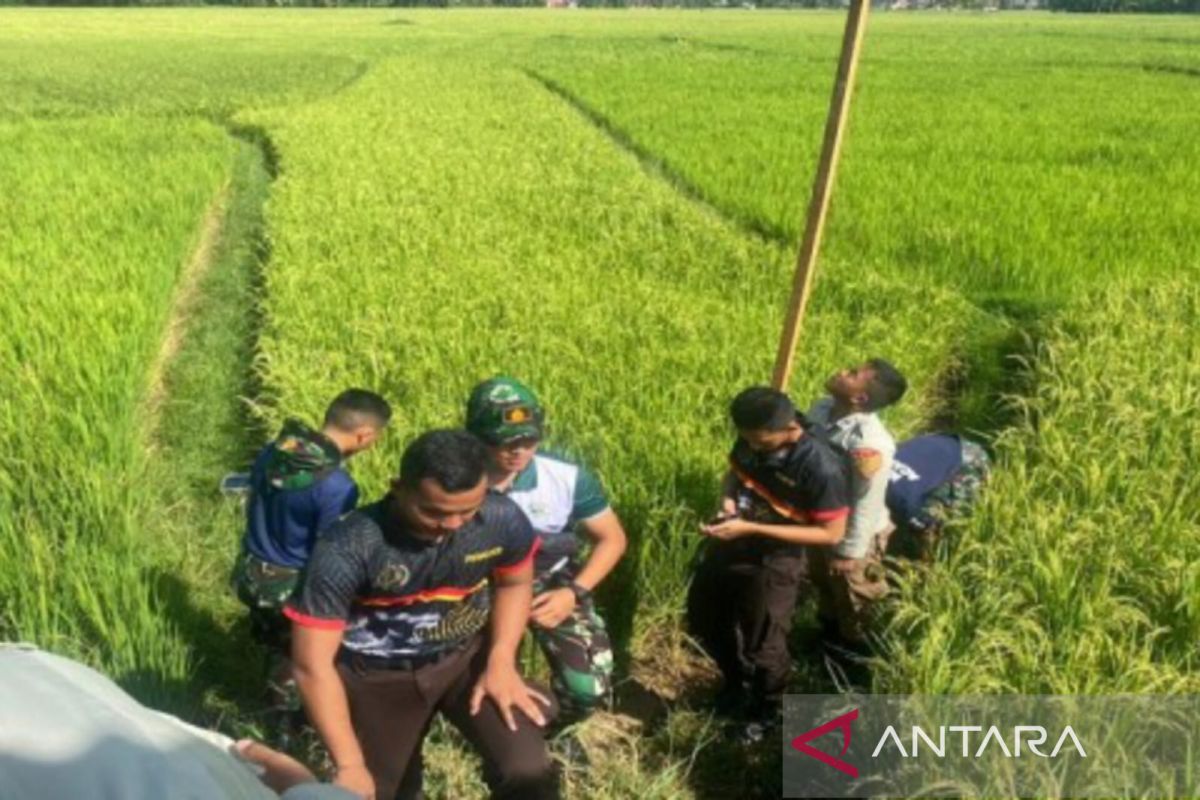 Taruna Latsitardanus XLIII terapkan lot bidang pertanian di sawah Solok