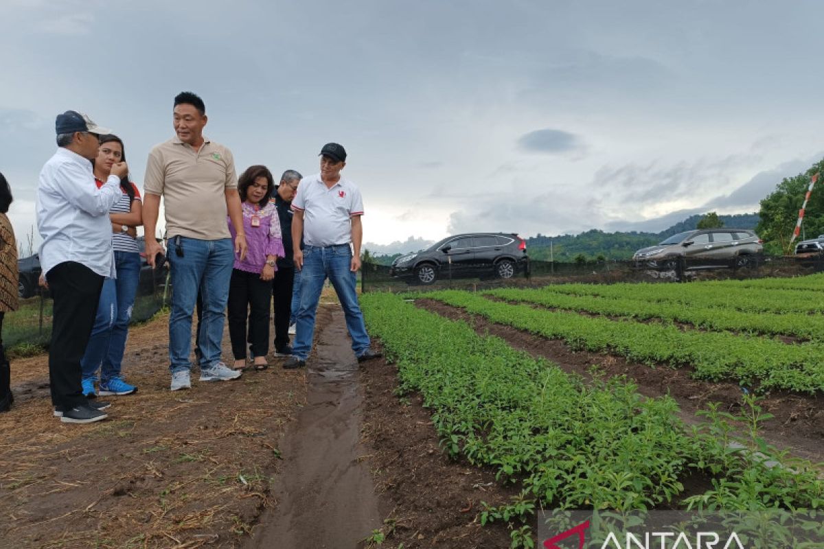 Harapkan investor asing bawa transfer pengetahuan