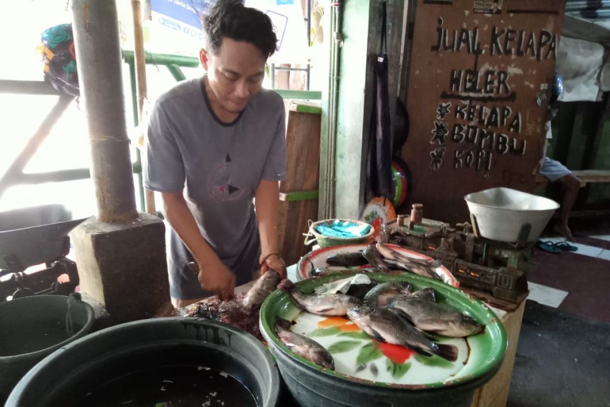 Kebutuhan ikan air tawar di Mataram mencapai 200 ton per bulan