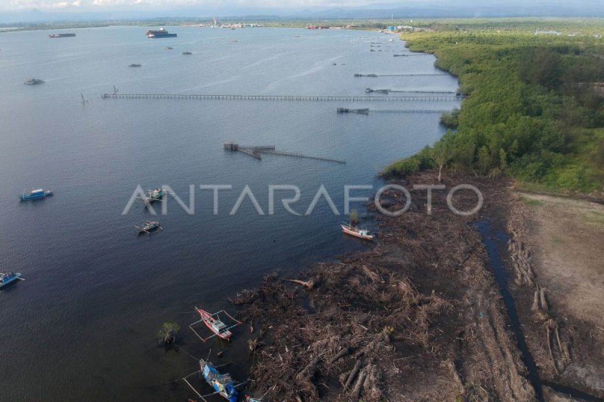 Kawasan Mangrove Rusak di Bengkulu