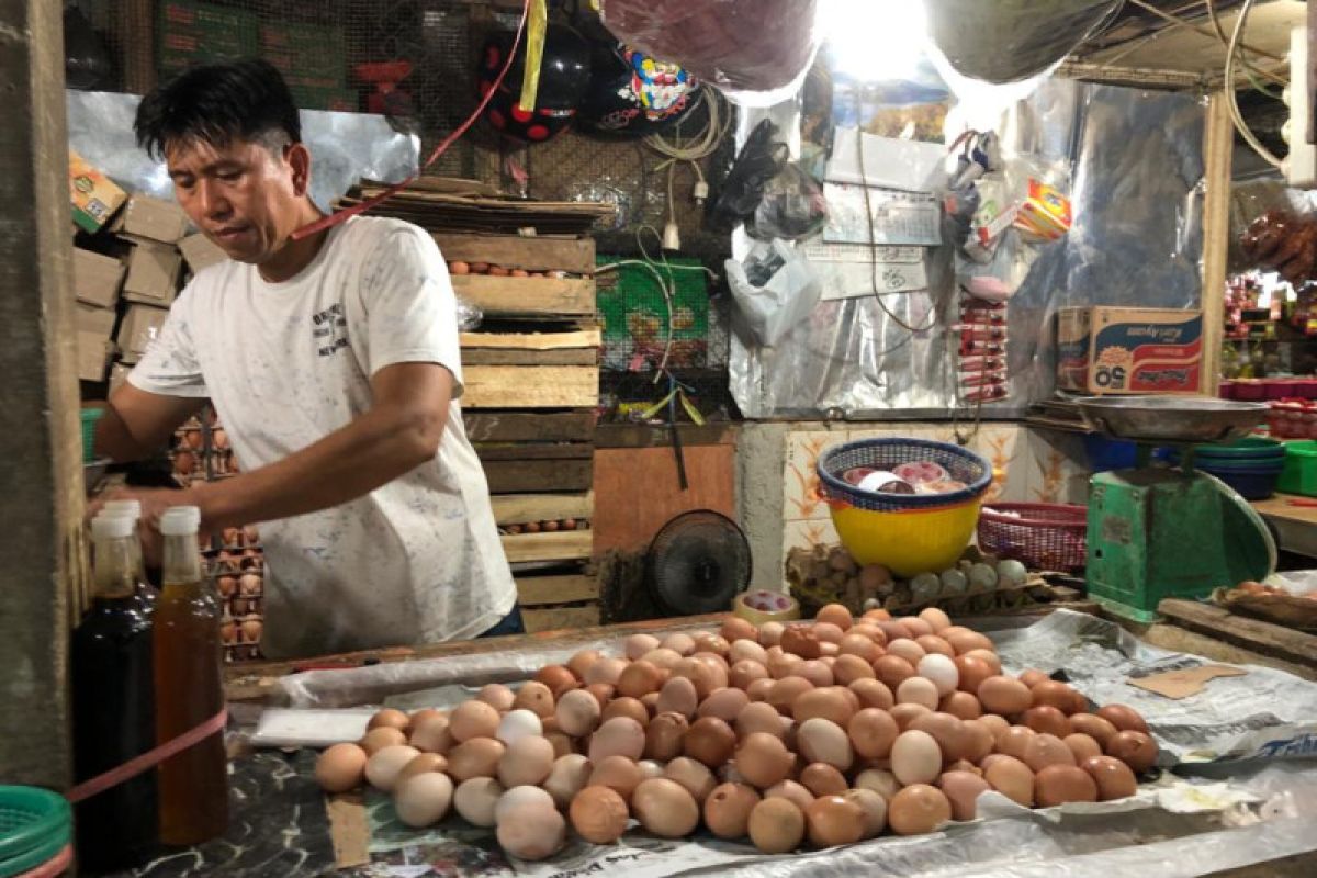 Harga telur ayam di Palembang turun jadi Rp27.000 per kilogram