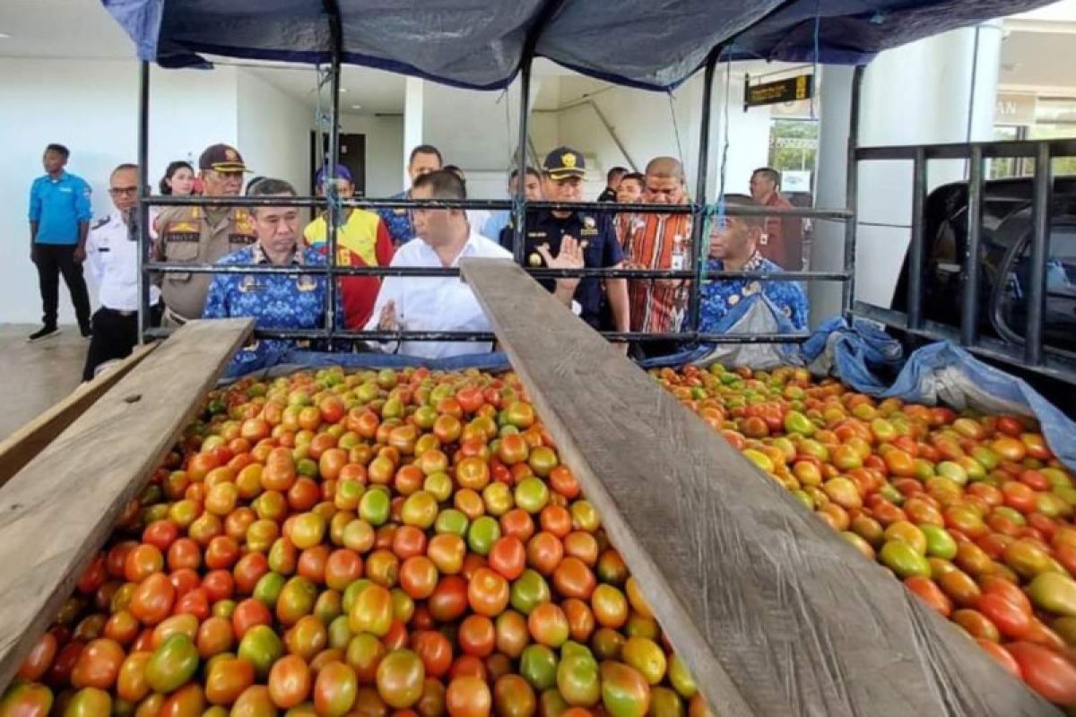 Kabupaten Belu NTT ekspor perdana tomat ke Timor Leste