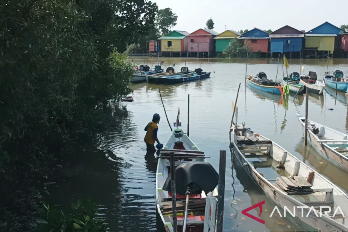 Pelindo tanam mangrove hijaukan kampung wisata Sontoh Laut Surabaya