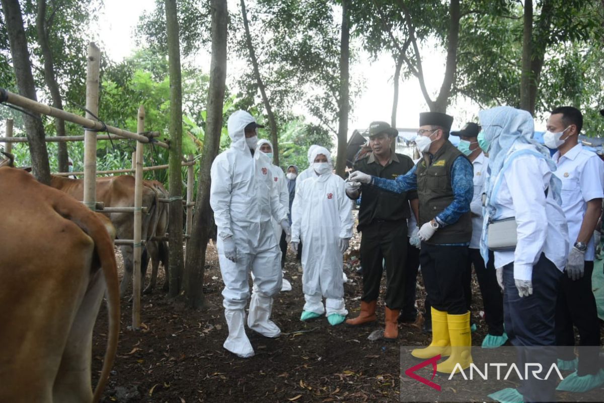 Pemkab Bekasi wajibkan vaksin hewan kurban dari luar daerah