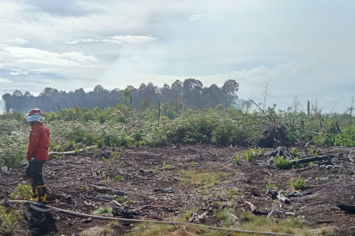 BNPB: Pemadaman karhutla di Pesisir Selatan dilanjutkan