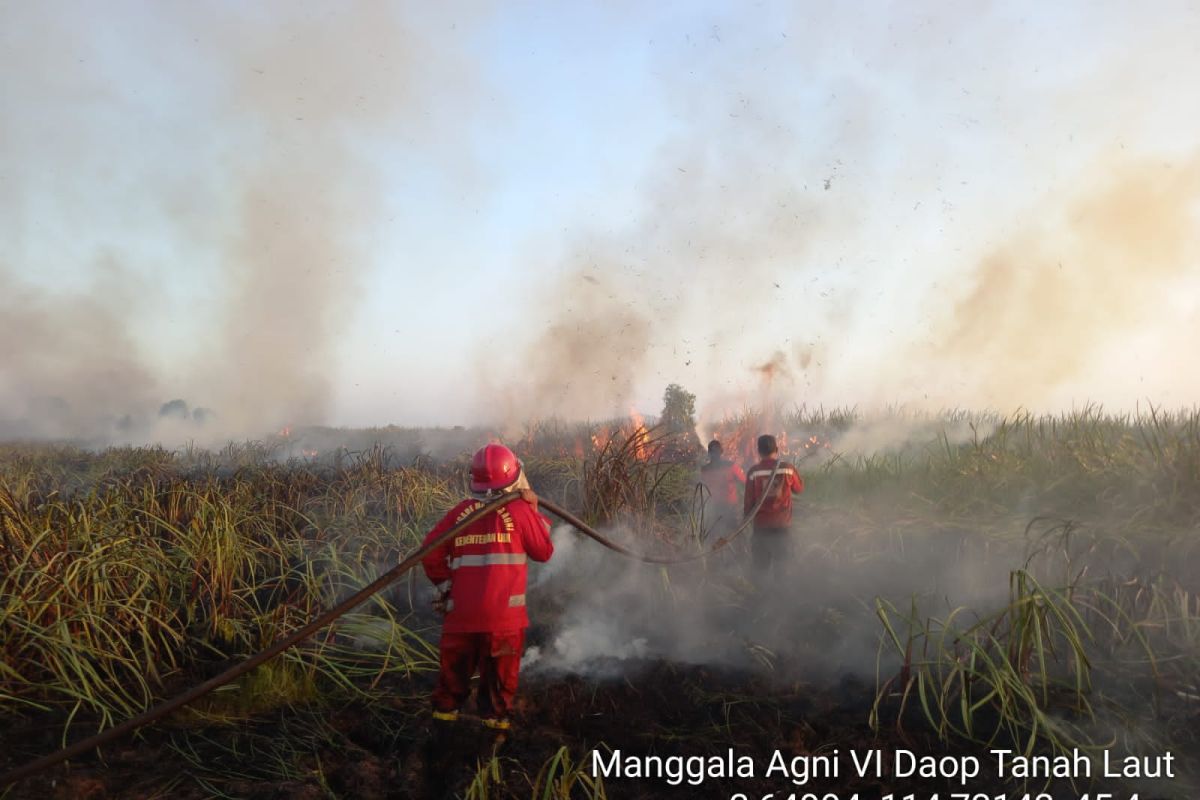 BNPB: Delapan hektare lahan di Palangkaraya hangus terdampak karhutla