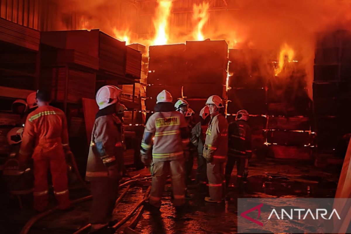 Gudang triplek di Duren Sawit ludes terbakar