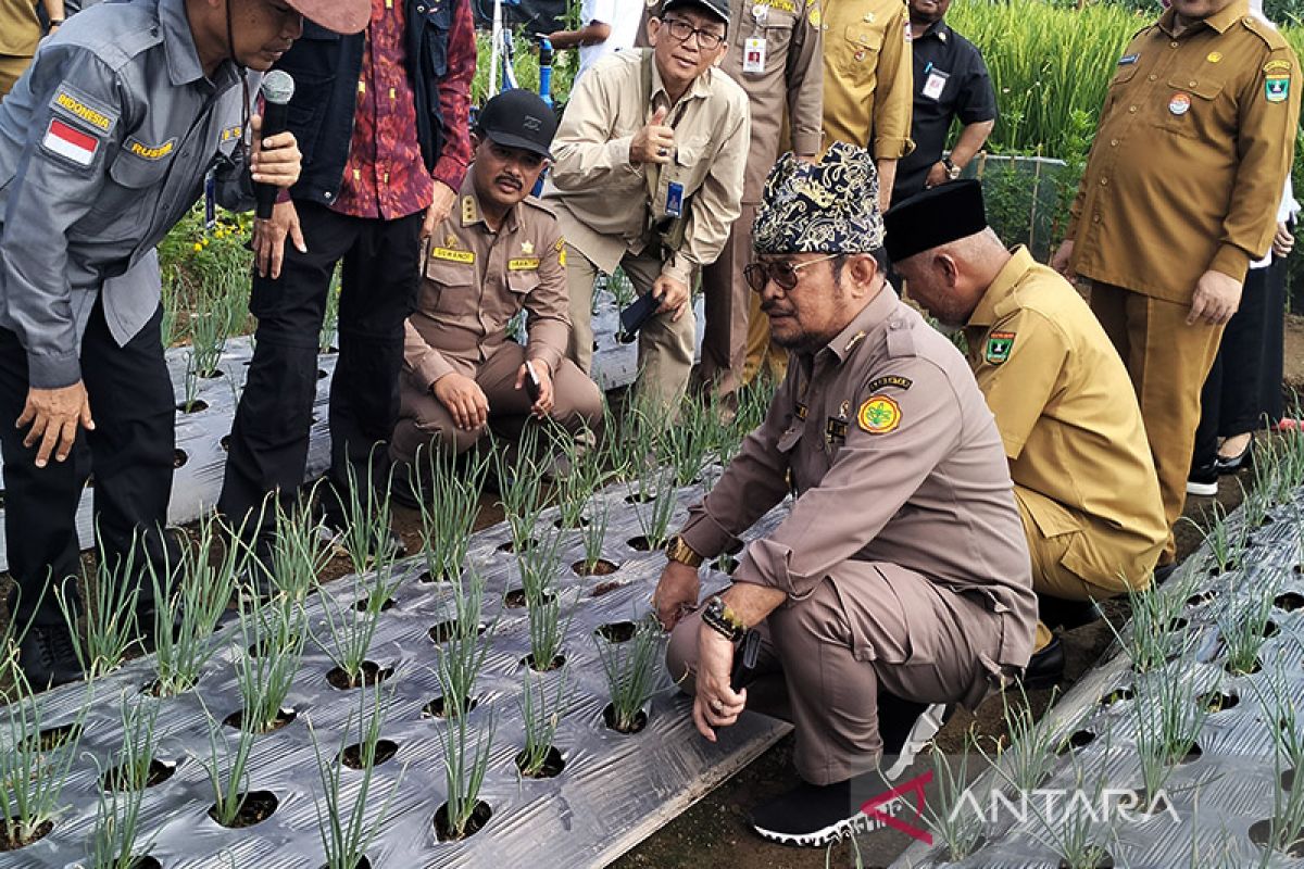 Mentan optimistis Indonesia jadi lumbung pangan dunia pada 2045