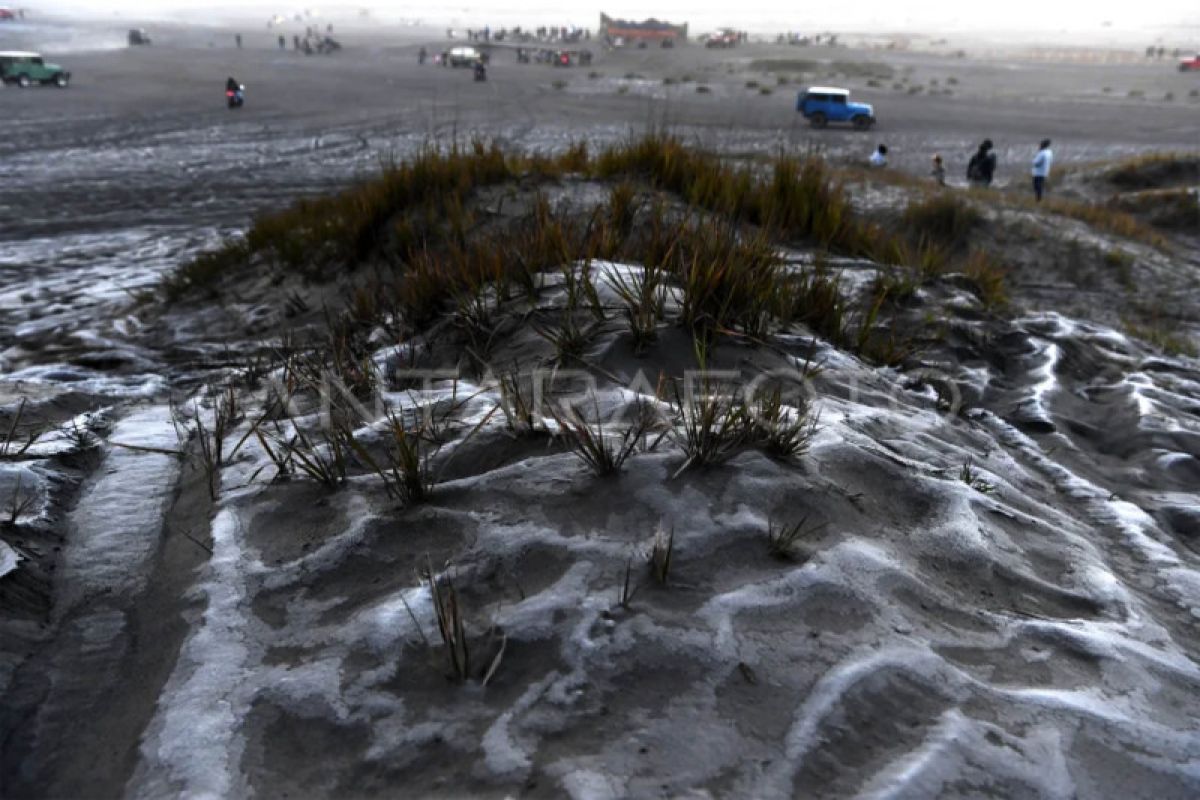 Pikat wisawatan, lautan pasir Bromo diselimuti lapisan tipis es