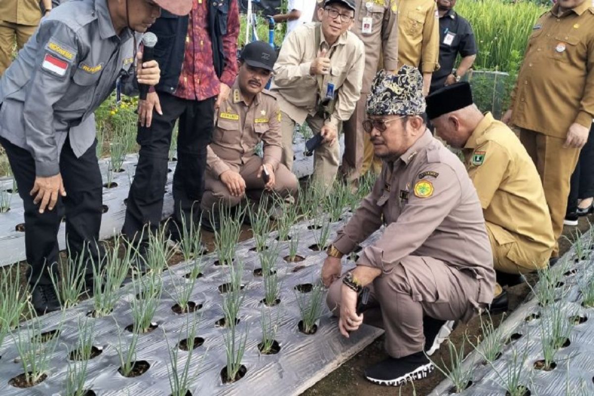 Mentan Syahrul Yasin Limpo optimistis Indonesia jadi lumbung pangan dunia pada 2045