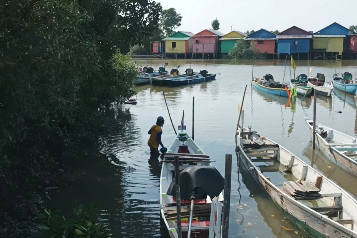 Pelindo tanam mangrove hijaukan kampung wisata Sontoh Laut Surabaya