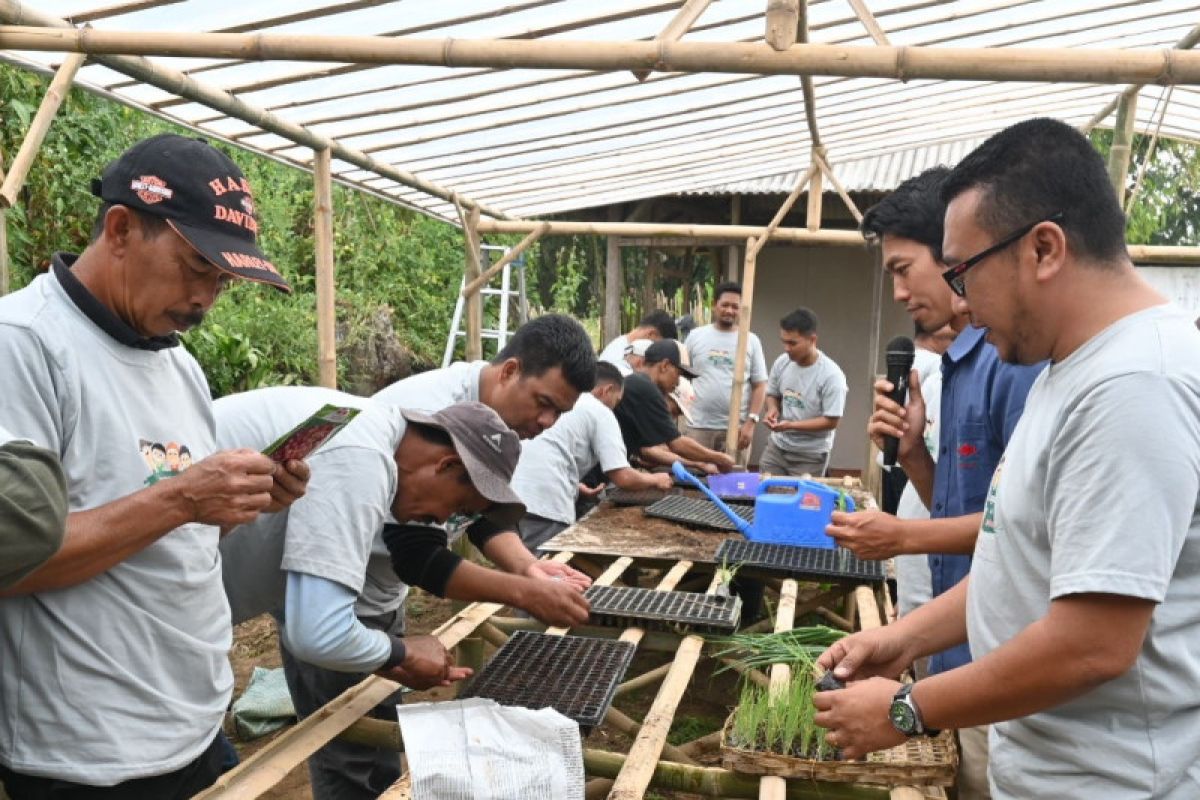 Produsen benih sayuran Cap Panah Merah bangun sekolah lapangan petani