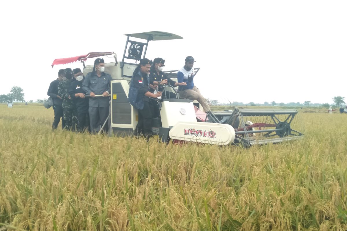 Purwakarta sarankan petani budayakan simpan hasil panen