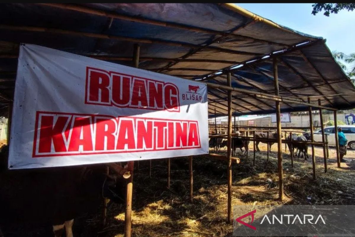 BUMD dan DKI diminta pastikan kualitas daging dan hewan kurban