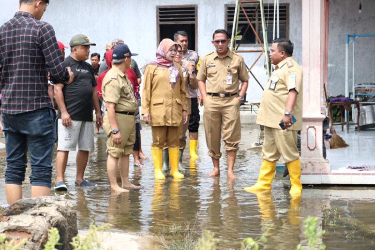 Sekretaris Daerah Kota Tegal tinjau banjir Margadana
