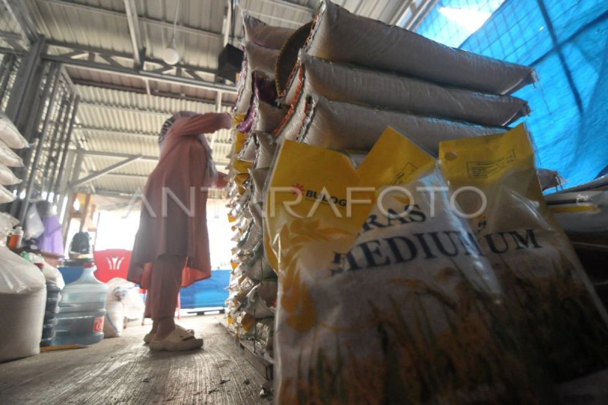 Pemprov Bengkulu gandeng daerah lain cegah dampak kemarau pada pangan