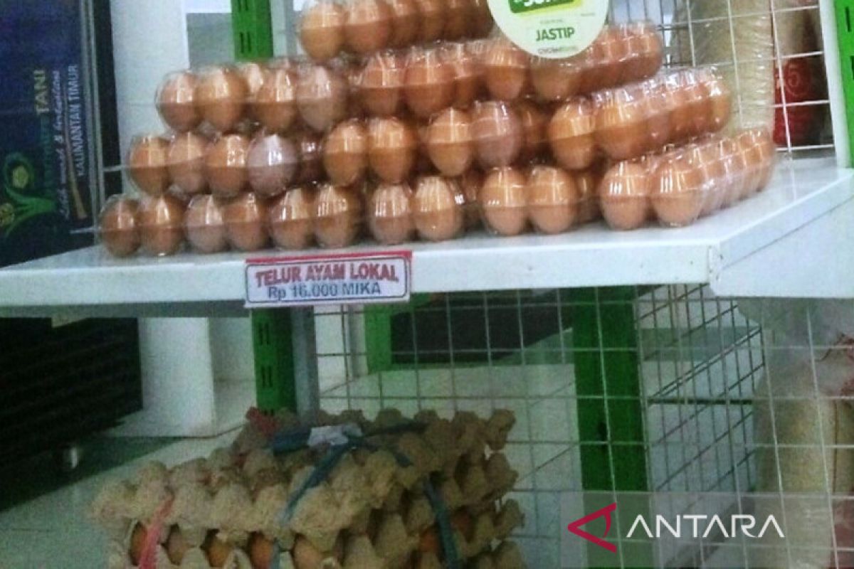 Harga telur ayam di Kaltim bergejolak ringan selama Mei