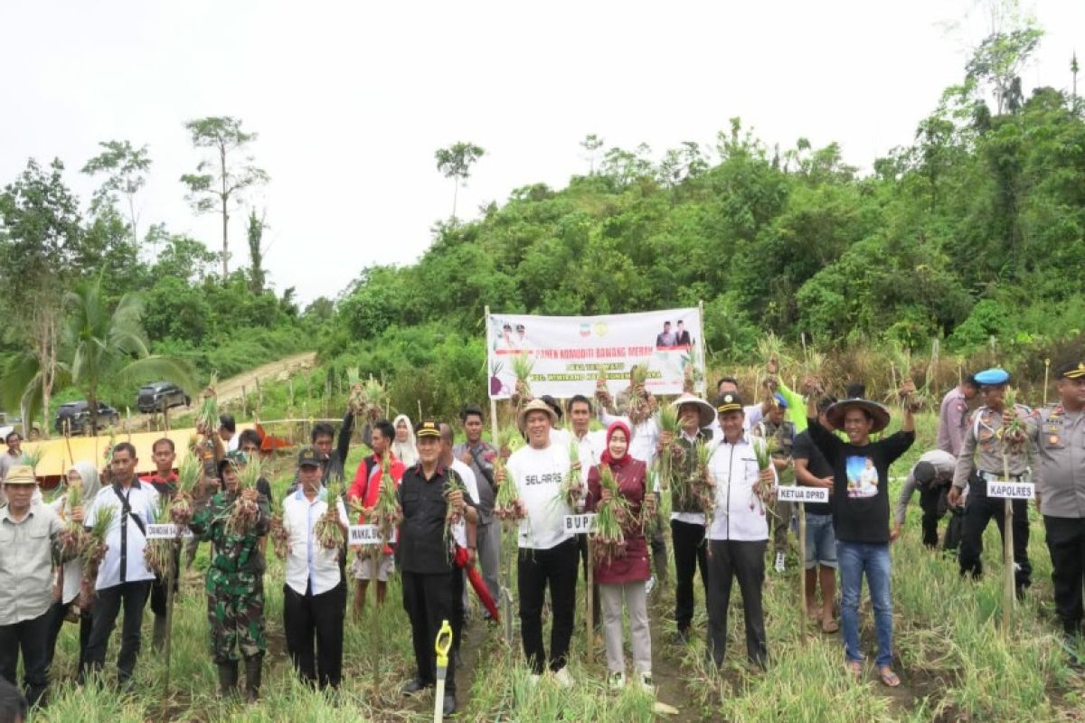 Bupati Konawe Utara mendorong produksi bawang merah cegah inflasi