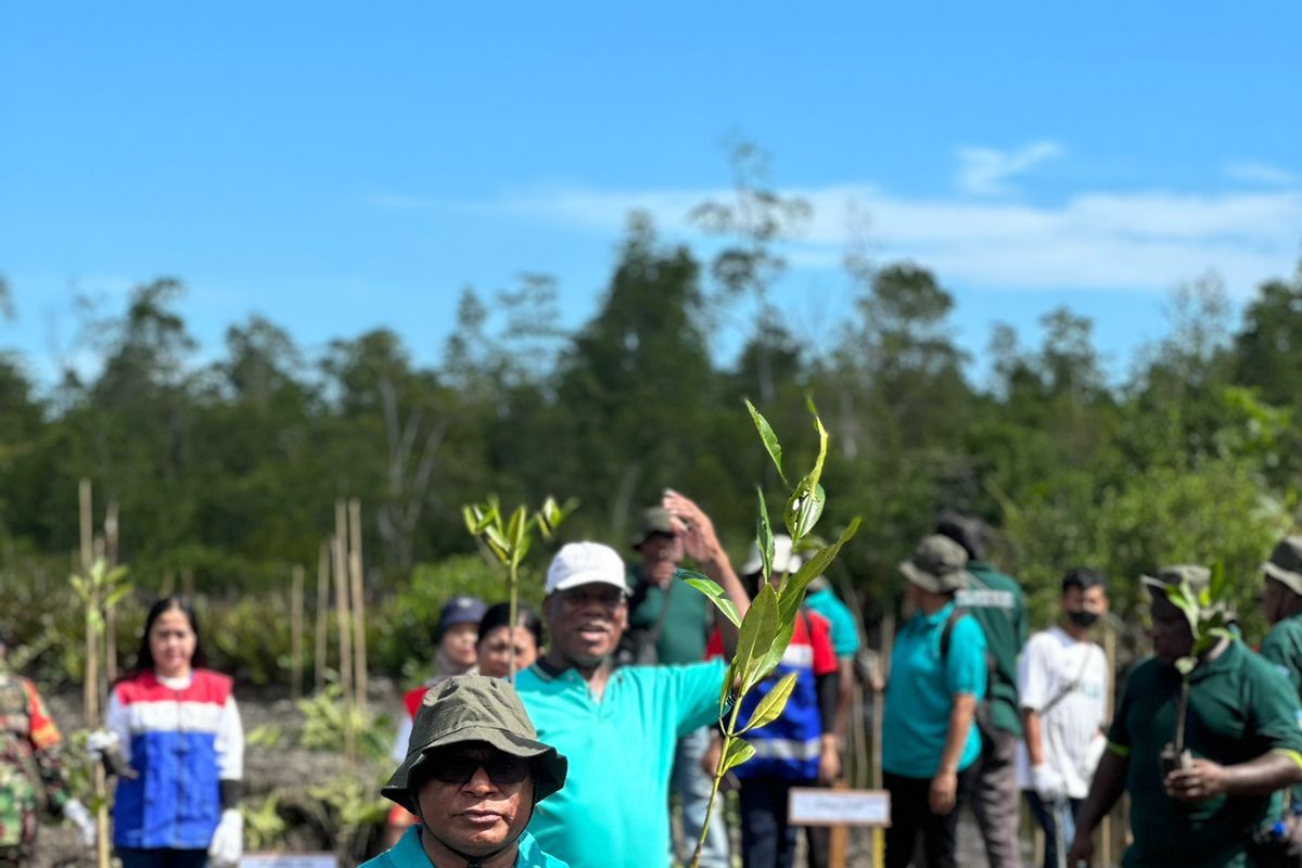 Kabupaten Sorong tanam 3.000 pohon bakau di Distrik Aimas