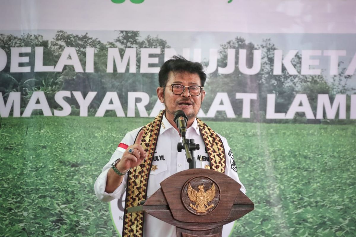 Indonesia should not depend on soybean imports forever: Minister