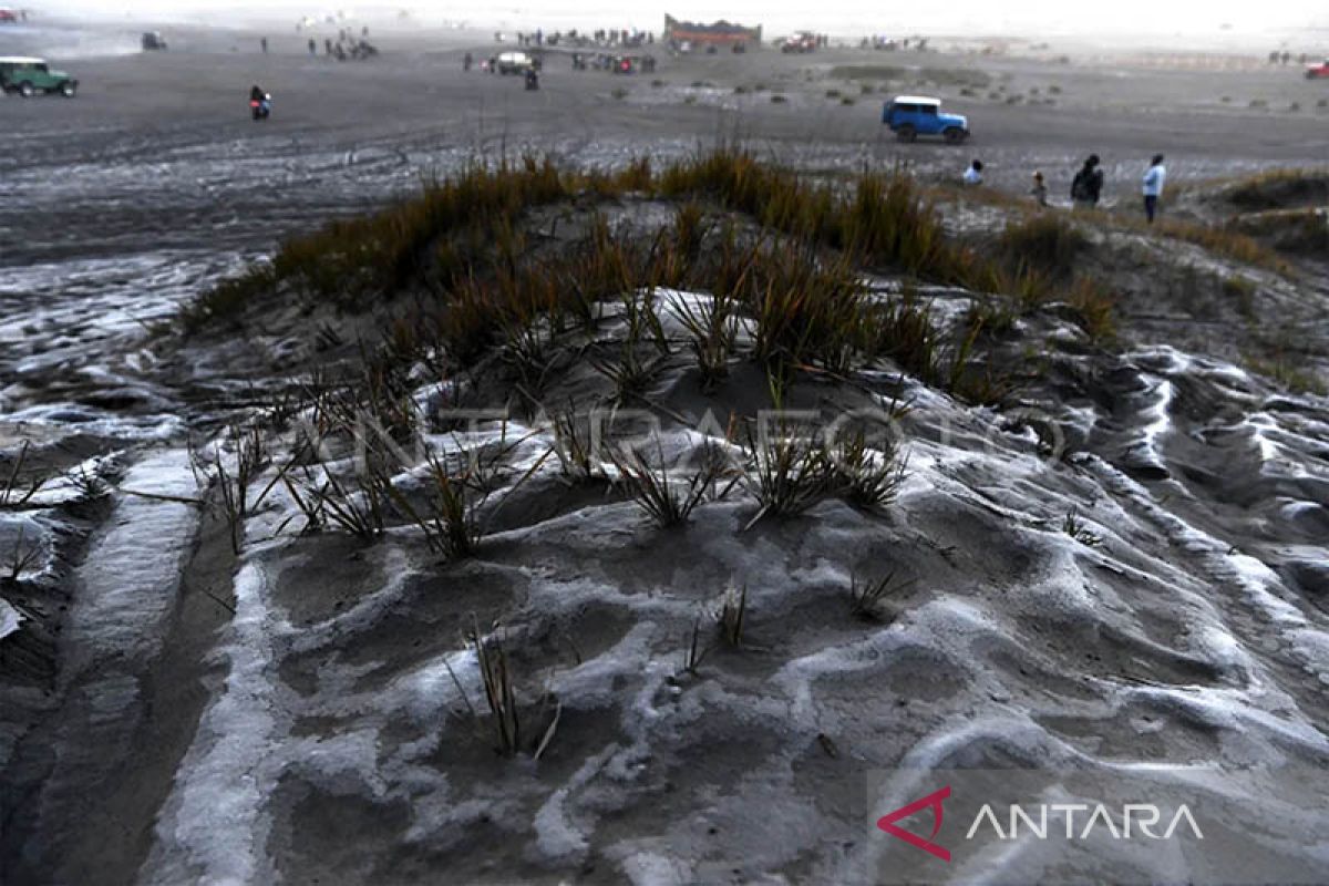 Khofifah: Pasir bersalju Bromo jadi momen kunjungan wisata