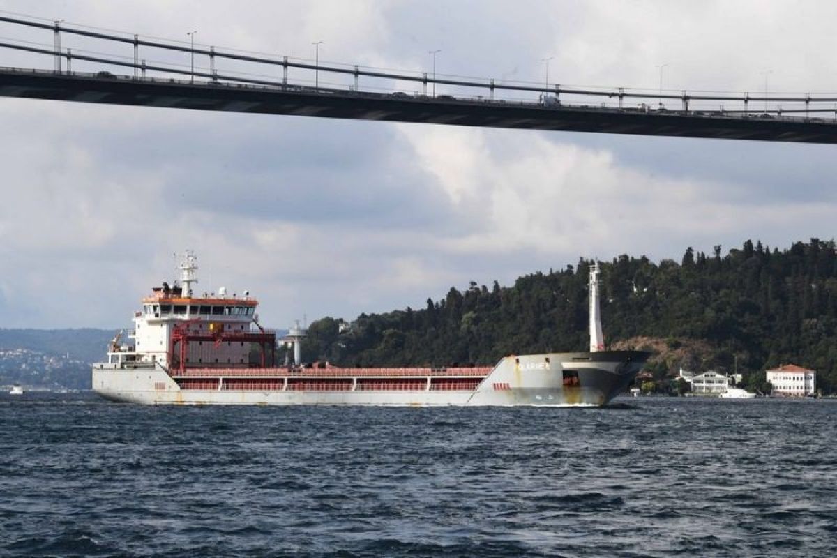 PBB suarakan kekhawatiran terkait perlambatan pengiriman biji-bijian di Laut Hitam