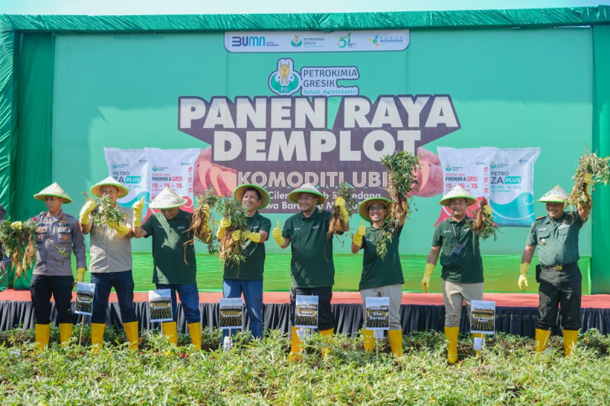 Petrokimia Gresik kembangkan pupuk untuk produktivitas ubi cilembu