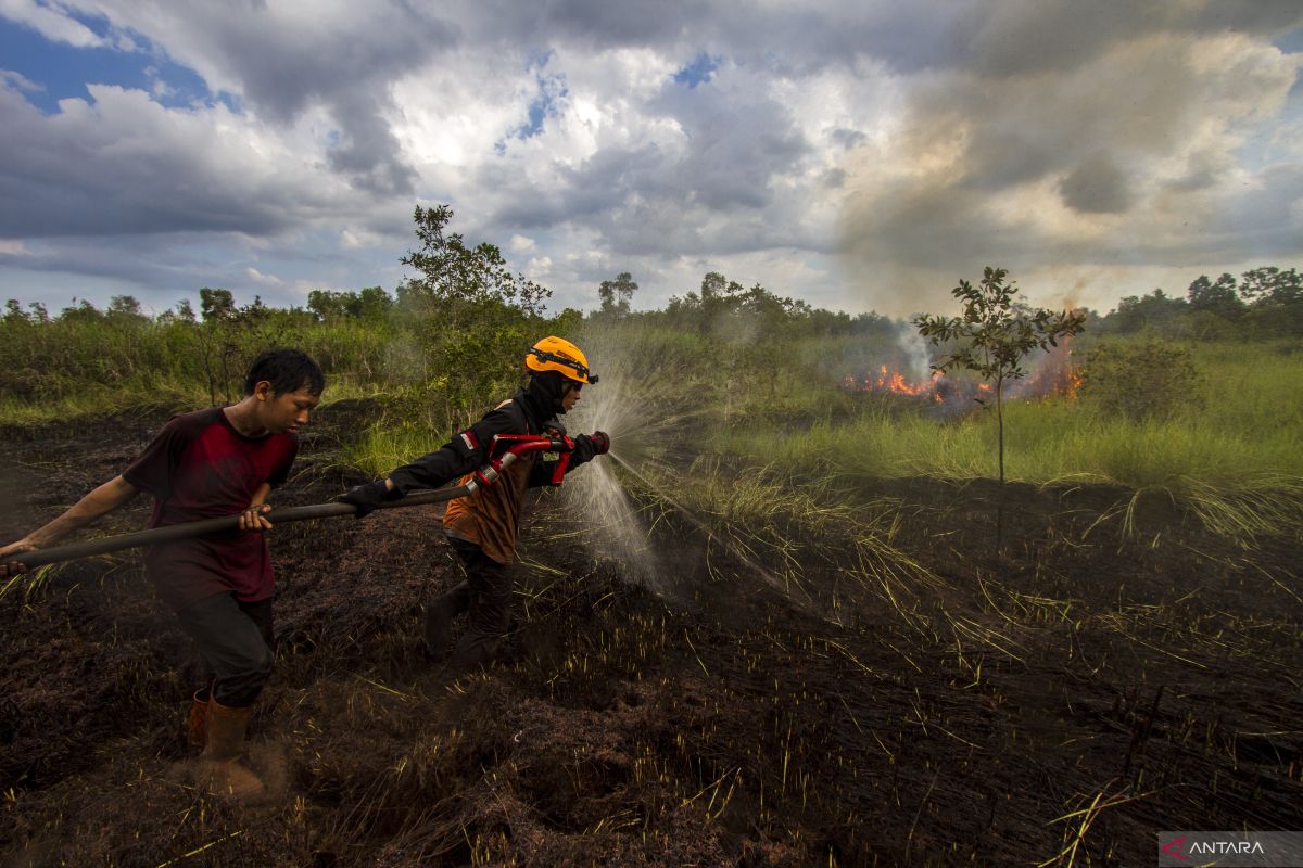 BPBD Kalsel tanggap usai warga diduga bakar lahan area Bandara