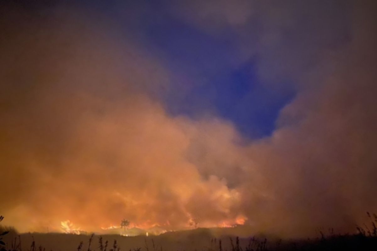 Puluhan hektare lahan terbakar di Kalsel