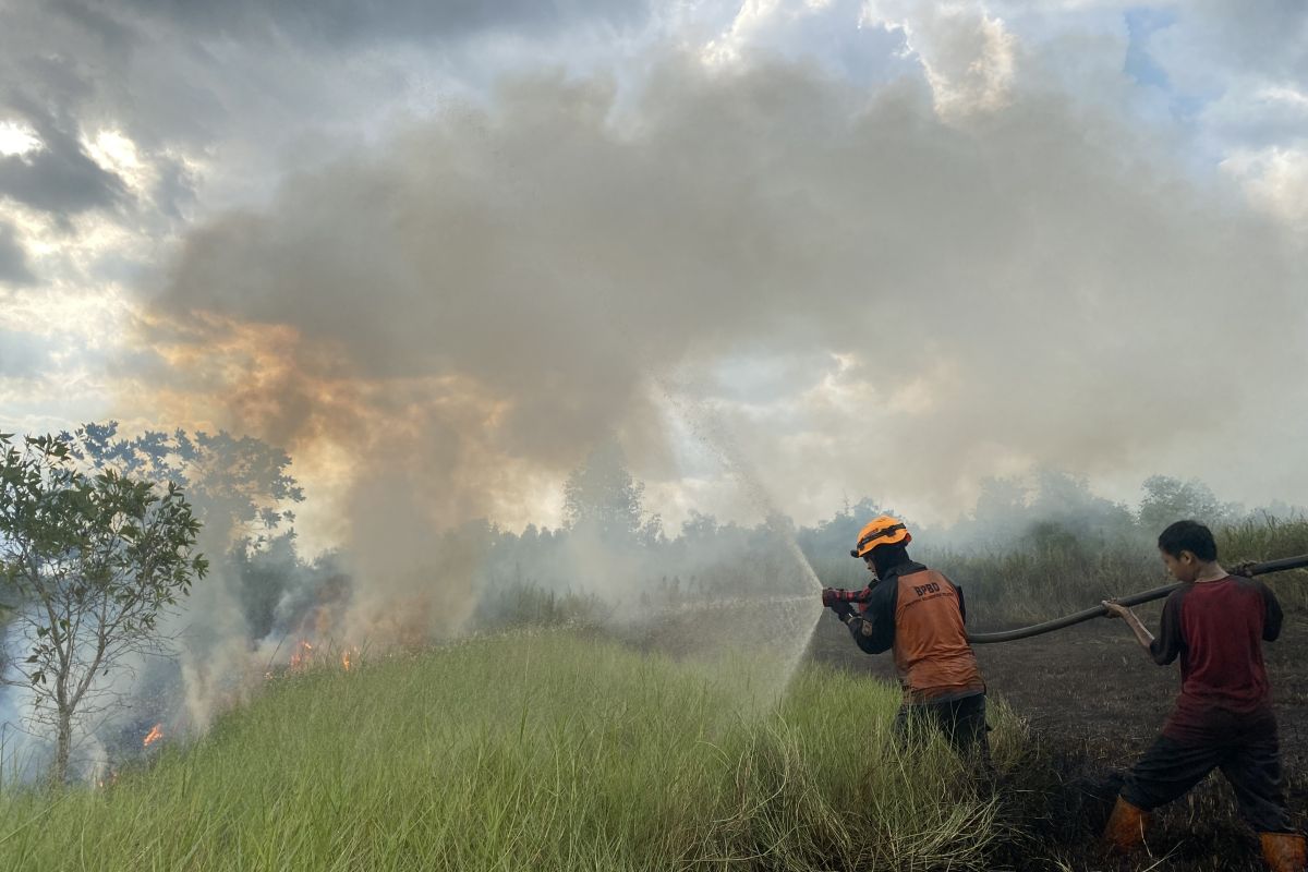 South Kalimantan waiting for water bombing heli, fires reach 80 hectares