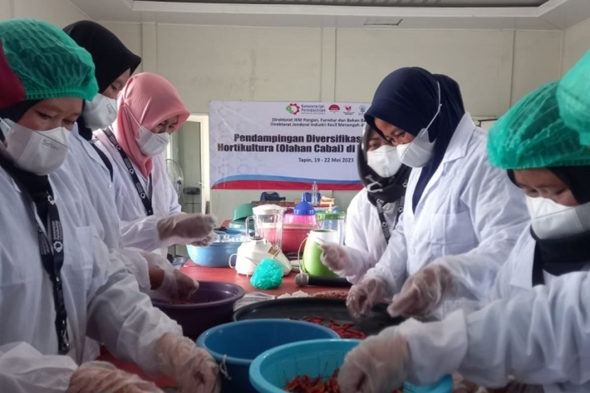 Small industries get training in Hiyung chili diversification