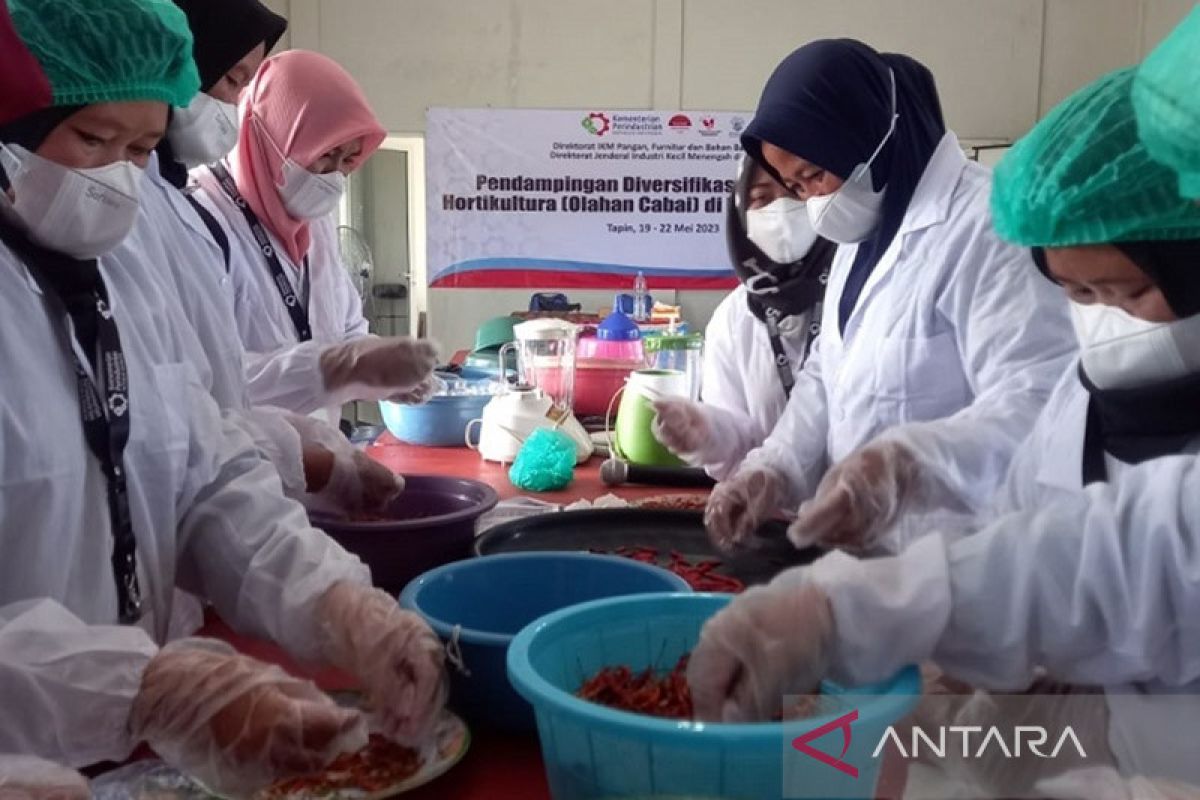 Small industries get training in Hiyung chili diversification