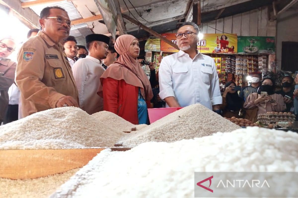 Menteri Perdagangan Sidak Harga Pasar Di Palangka Raya - ANTARA News ...