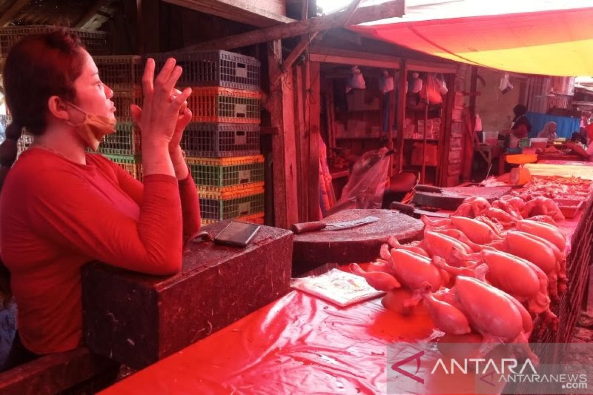 Harga ayam broiler di Agam naik dampak persediaan berkurang