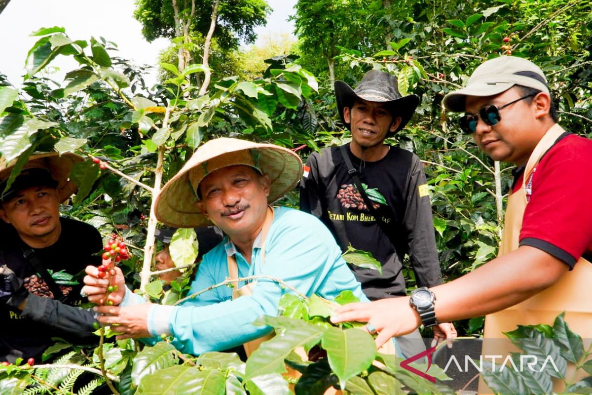 Pemkab Situbondo dorong petani kopi gunakan pupuk organik