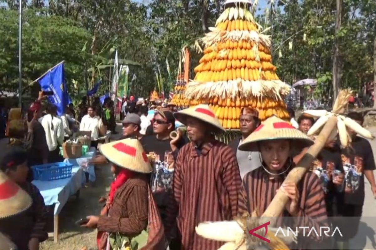 Petani tepian hutan Ngawi gelar Festival Jagung 2023