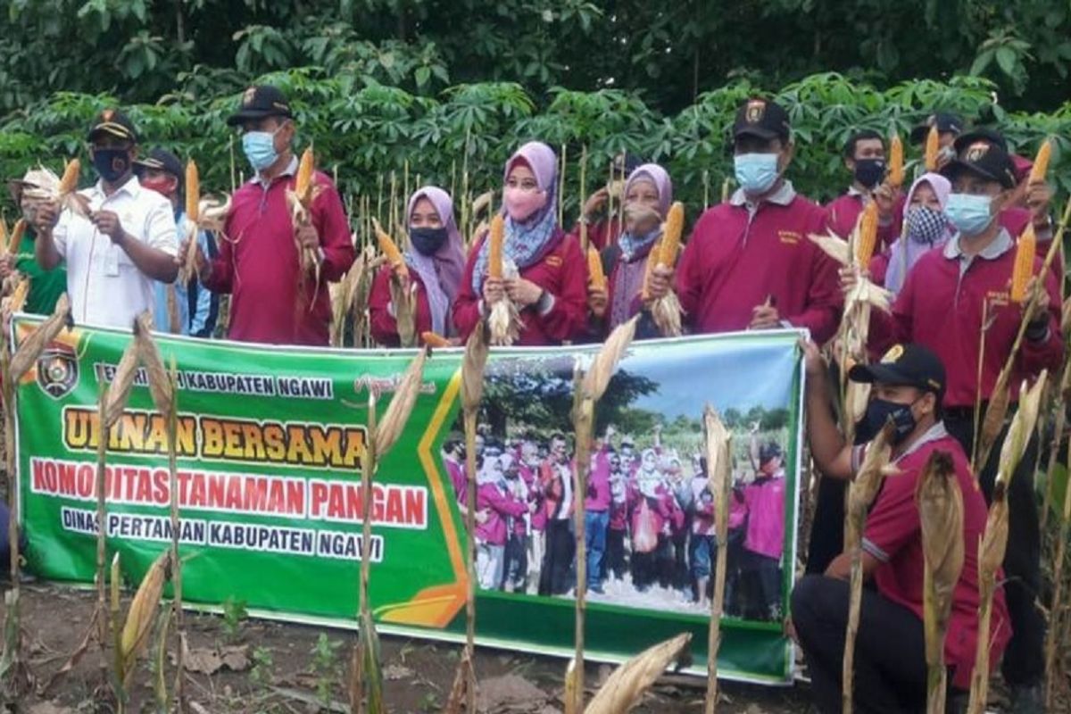 Pemkab Ngawi dorong petani tepian hutan kerja sama dengan Perhutani