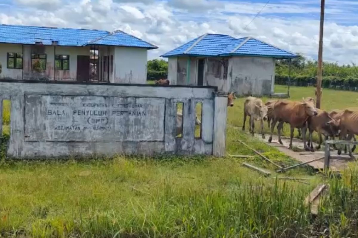 Anggota DPRD Bung Tomo menyayangkan Gedung BPP Pulau Maya terbengkalai