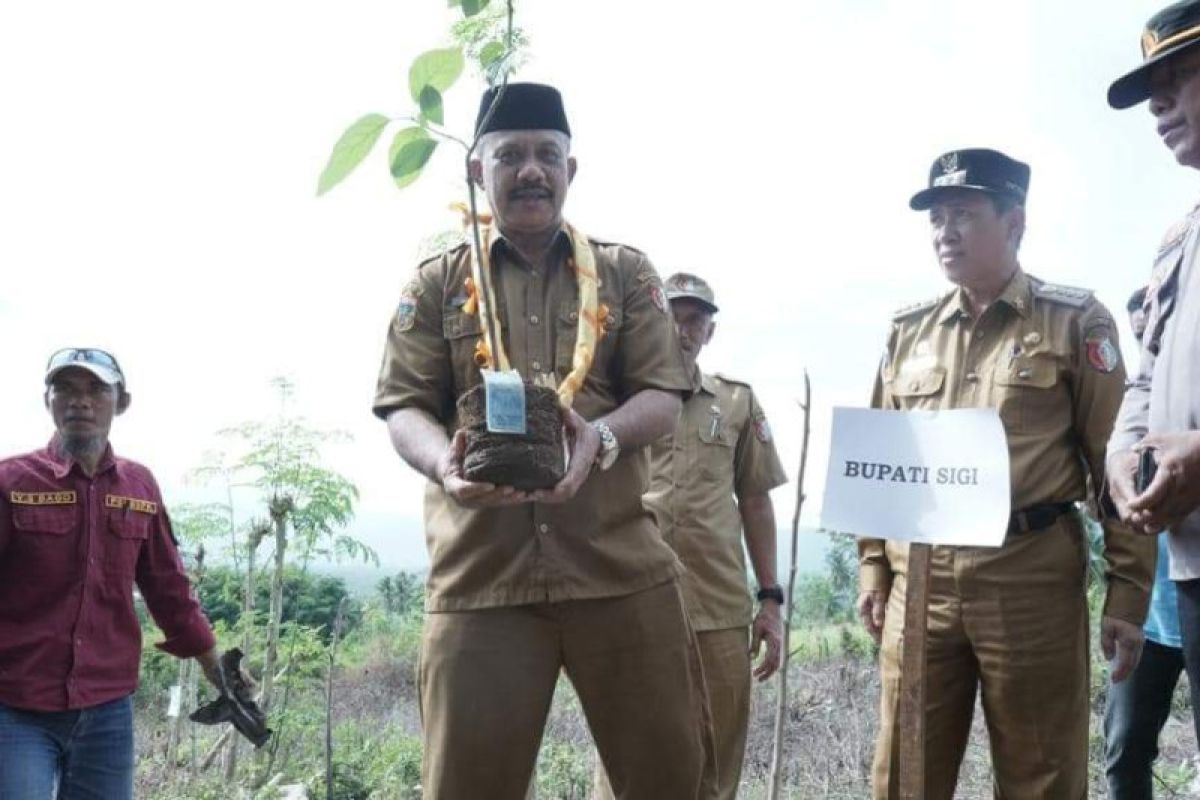 Pemkab Sigi canangkan Desa Bomba-Marawola sebagai kampung alpukat