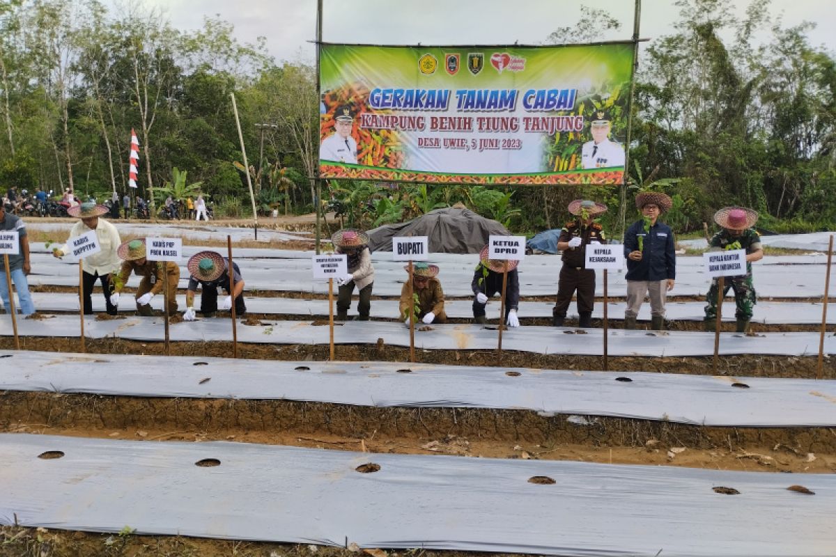 Desa Uwie Tabalong jadi pusat pembenihan Tiung Tanjung