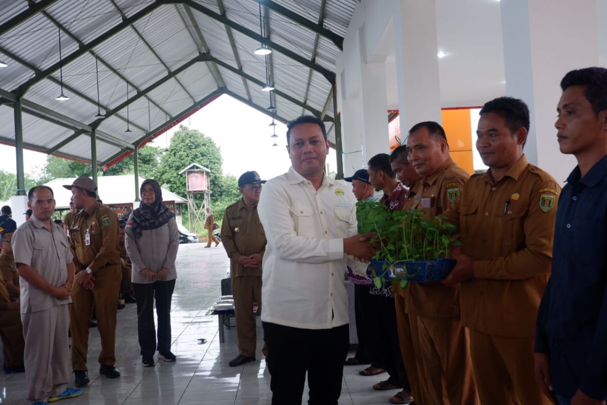 HIPMI Tabalong bagikan 15 ribu bibit Tiung Tanjung kepada masyarakat