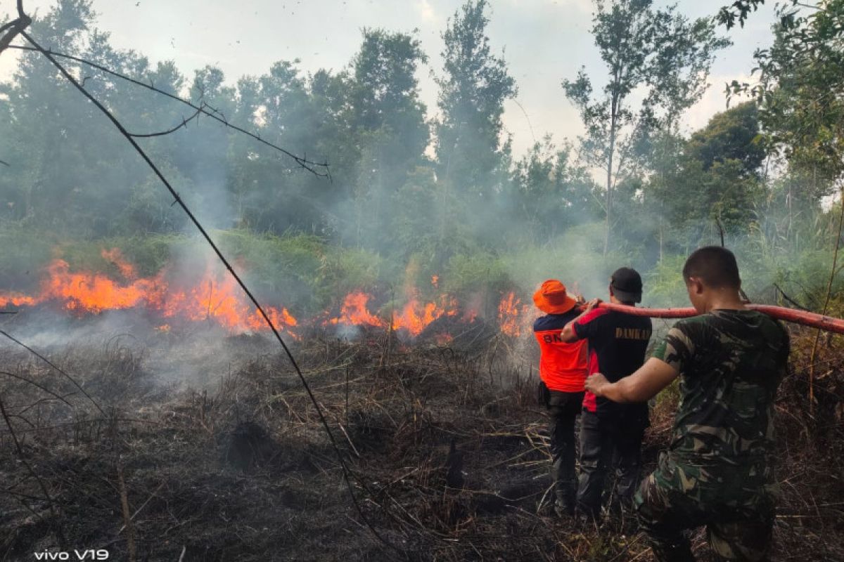 Petugas BNPB berusaha padamkan kebakaran lahan di Barito Selatan